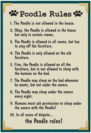 Details about  / A Poodle/'s House Rules Wall Decor Poster No Framed
